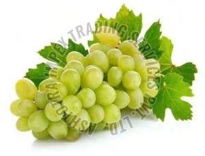 Fresh Green Grapes