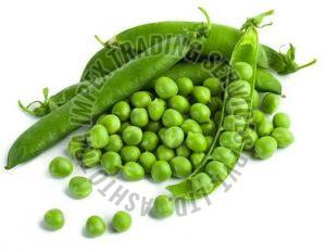 Fresh Green Peas