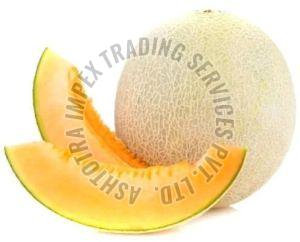 Fresh Muskmelon