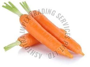 Fresh Orange Carrot