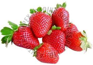 Fresh Strawberry