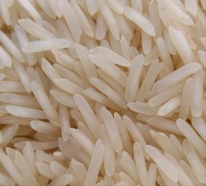 1509 Raw Basmati Rice