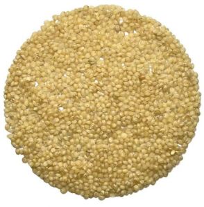 Foxtail Millet Seeds