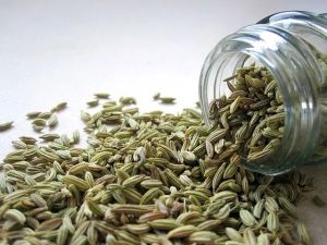 Premium Fennel Seeds