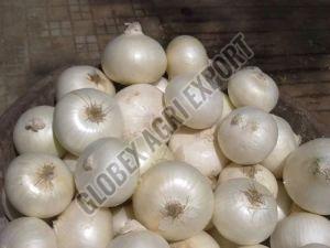 Fresh White Onion