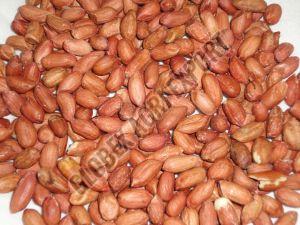 HPS GROUNDNUT KERNEL