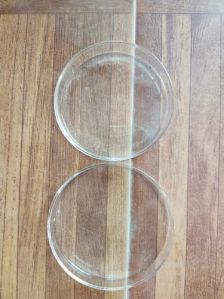 Glass Petri Dish