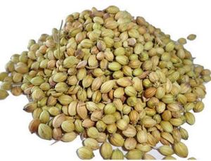 Coriander Seeds