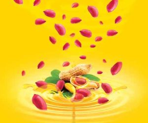 Double Filtered Groundnut Oil