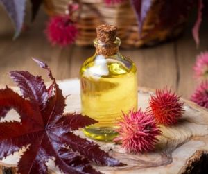 Refined Castor Oil