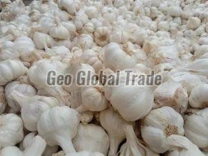 A Grade White Garlic