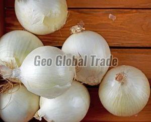 A Grade White Onion