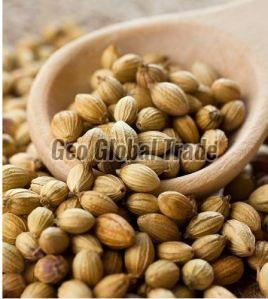 Coriander Seeds