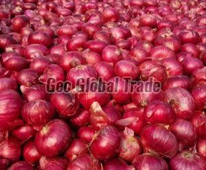 organic red onion