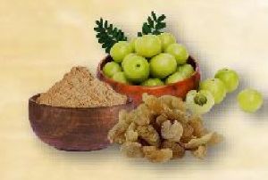 Amla Powder