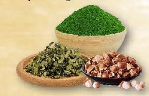 Moringa Leaves Powder