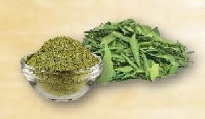 Neem Leaves Powder