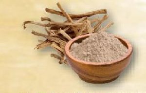 Shatavari Powder