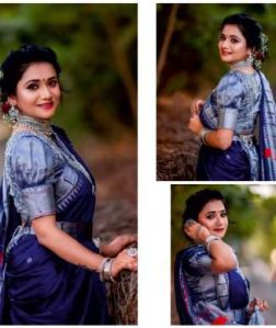 Ladies Printed Banarasi Saree