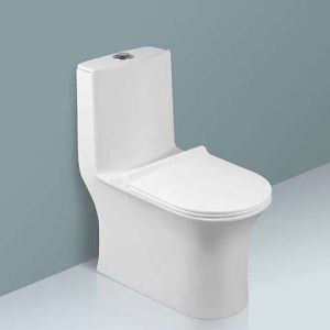 Ceramic Water Closet