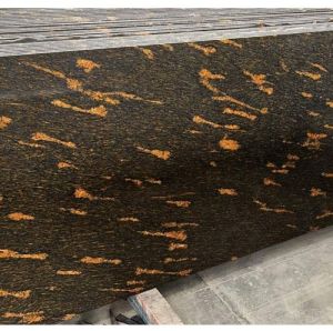 Fish Gold Granite Slab