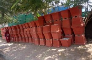 Square Cement Flower Pot