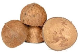 Brown Coconut Shell