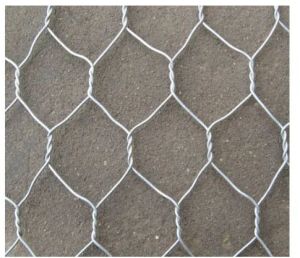 Galvanized Iron Chicken Wire Mesh