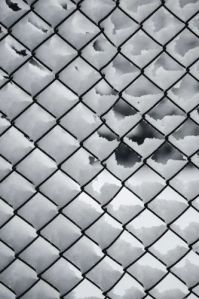 Galvanized Iron Chain Link Fencing