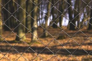 Galvanized Iron Chain Link Fencing