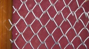 Galvanized Iron Chain Link Fencing