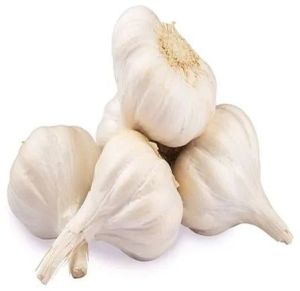 A Grade Fresh Garlic