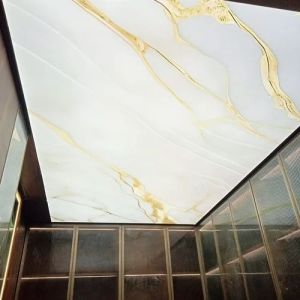 Call Center Stretch Ceiling