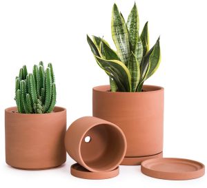 Terracotta Planter