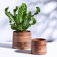 Wooden Planter