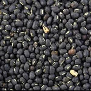 Black Urad Dal