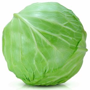 High Quality Cabbage