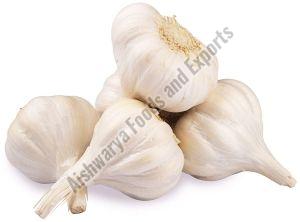 A Grade Fresh Garlic