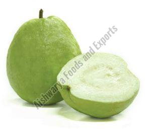 A Grade Fresh Green Guava