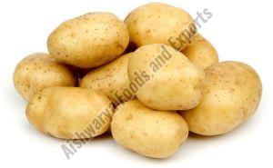 A Grade Fresh Potato