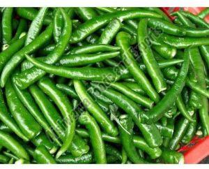 Fresh Green Chilli