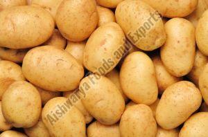 Brown Chips Quality Potato