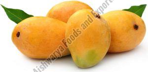 Fresh Alphonso Mango