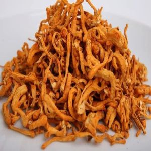 Dried Cordyceps Mushroom