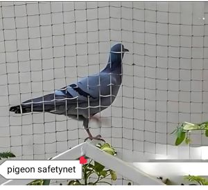 pigeon safety nets