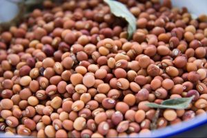 Pigeon Peas