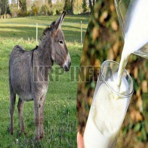 Donkey Milk