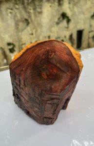 Red sandalwood