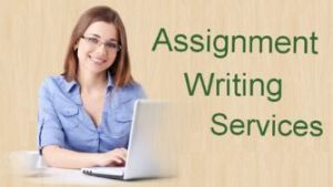 assignment writing services