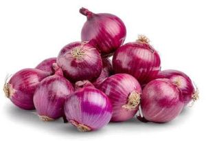 Onions